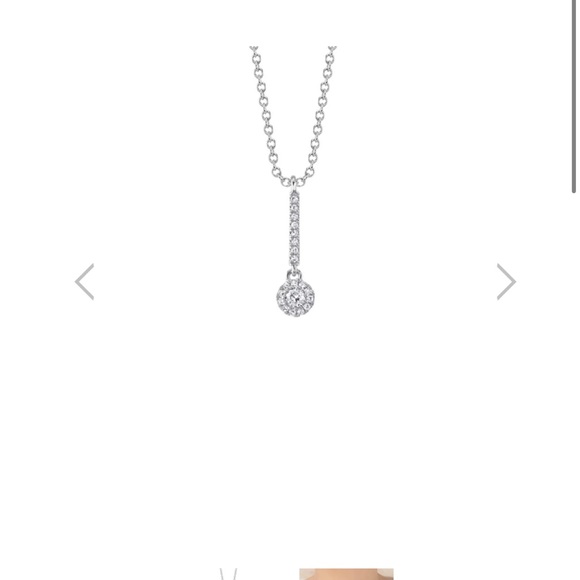 brand new Jared, shy collection drop necklace